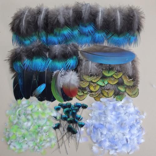 翠鸟叫声像什么_如何模仿翠鸟声音