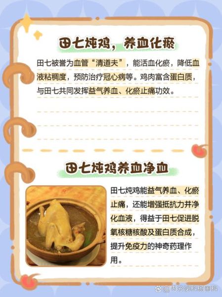 三七炖鸡的正确做法_三七炖鸡的功效与禁忌