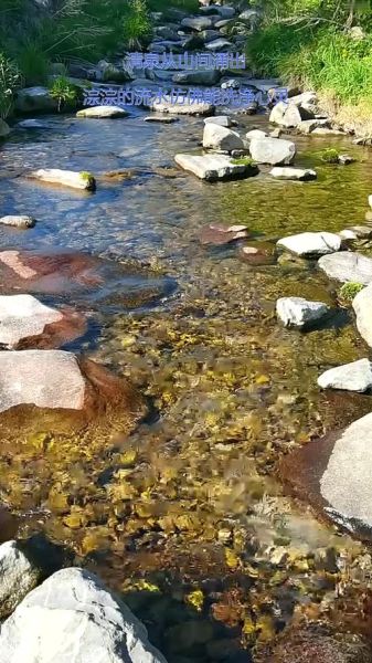 淙淙流淌的近义词有哪些_如何优雅替换淙淙流淌