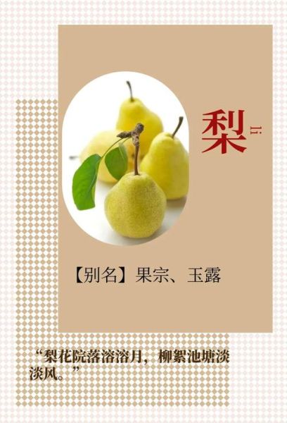 梨子的好词语有哪些_怎么用