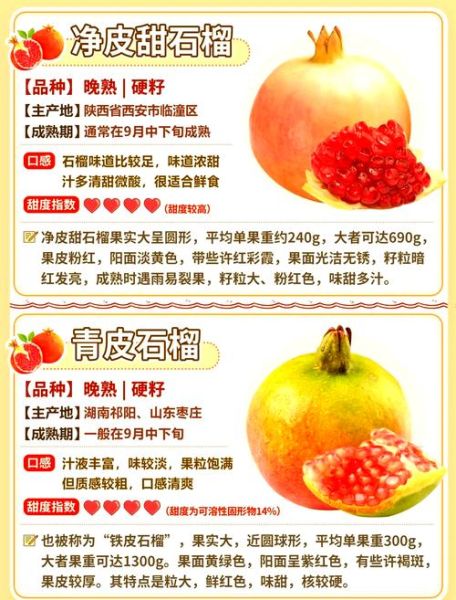 石榴的营养价值_石榴怎么吃最健康