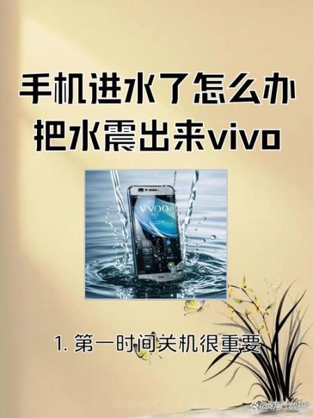 手机掉进水里怎么办_手机进水后屏幕失灵怎么修