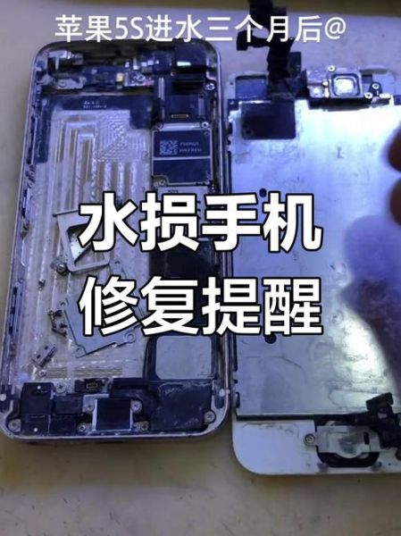 东海手机维修论坛_手机进水怎么办