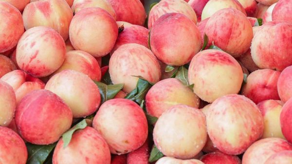 什么水果最好吃_好吃的水果有哪些