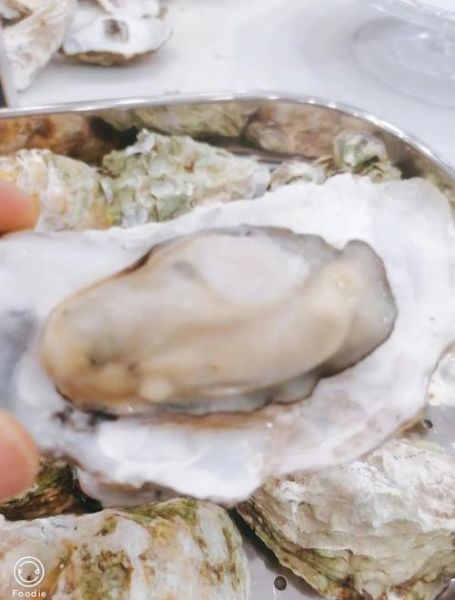 生蚝怎么清洗_清蒸生蚝几分钟能熟