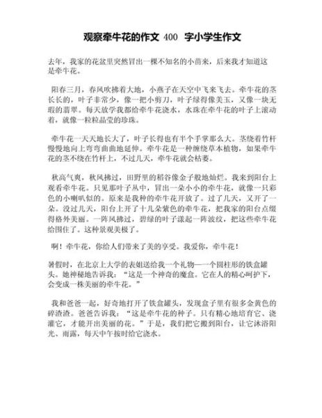 如何观察_描写技巧