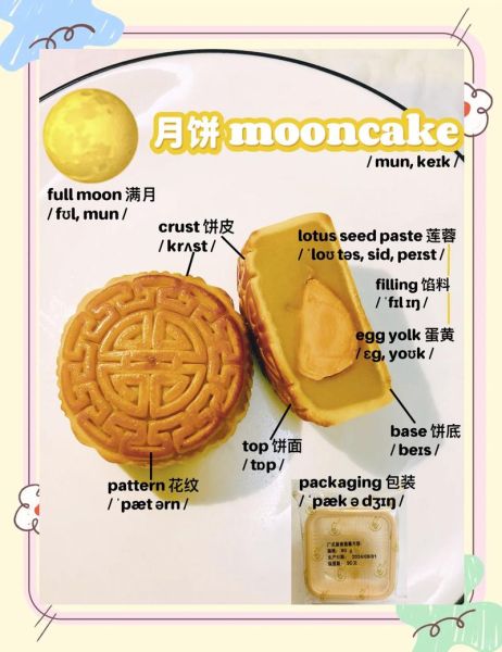 月饼是什么词语_月饼属于哪类词