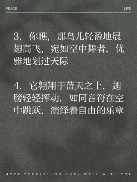 鸟儿展翅高飞的姿态_如何形容鸟儿飞翔的词语