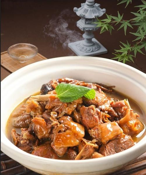 红烧老鹅怎么做好吃_红烧老鹅的家常做法