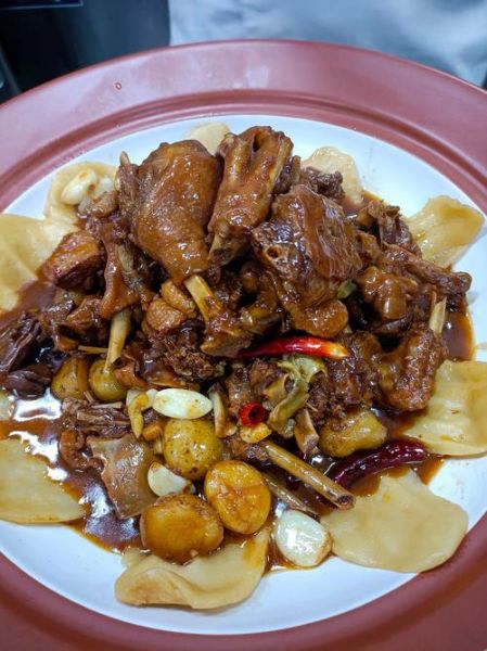 红烧老鹅怎么做好吃_红烧老鹅的家常做法