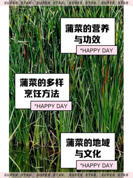 蒲菜怎么做好吃_蒲菜的家常做法