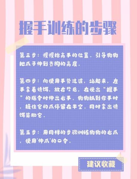 为什么猫喜欢纸箱_如何训练狗握手