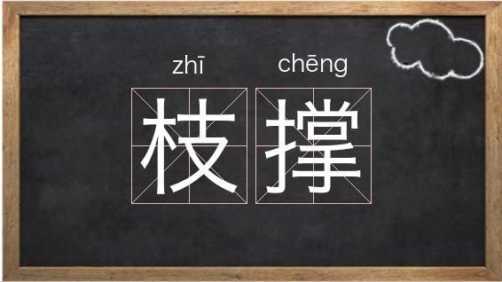 用撑词语有哪些_用撑词语怎么造句