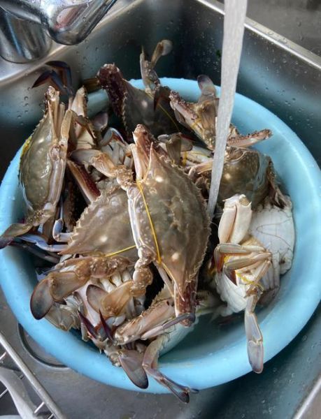 烤梭子蟹怎么做_烤箱温度和时间怎么设置