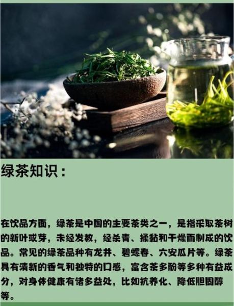 绿茶怎么泡才好喝_绿茶的功效与作用有哪些