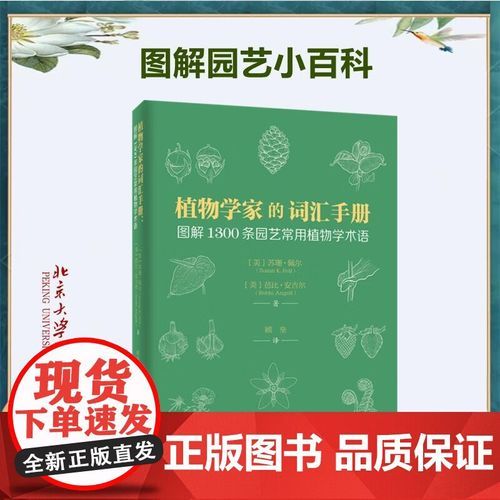 芭比是词语吗_芭比一词的来源与用法