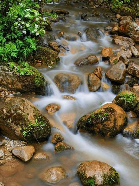 山里适合种什么_山里避暑哪里好