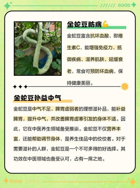 蛇豆怎么炒好吃_蛇豆的家常做法大全