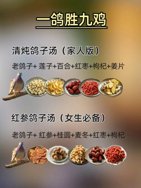 乳鸽炖汤的做法大全_乳鸽汤怎么炖好喝