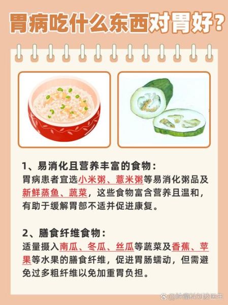 什么食物养胃_养胃食物有哪些