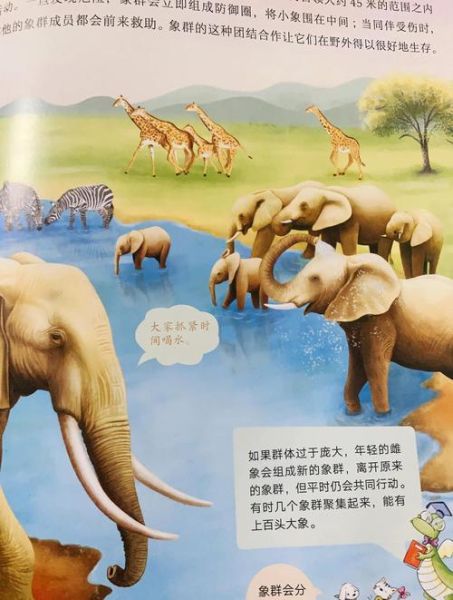 大象为什么有长鼻子_大象鼻子有哪些功能