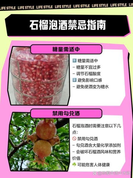 石榴泡酒的做法_石榴酒要泡多久才能喝