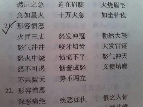 愤的四字词语有哪些_愤的成语大全