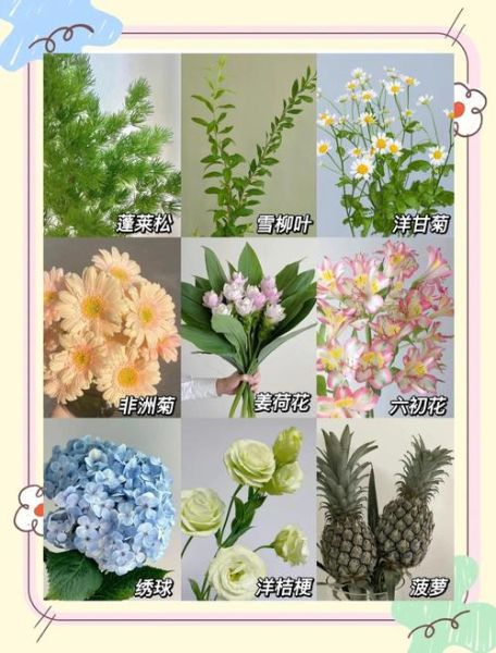 夏日花有哪些_夏日花怎么养