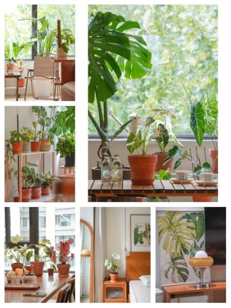 生机盎然的意思是什么_如何营造生机盎然的家居氛围