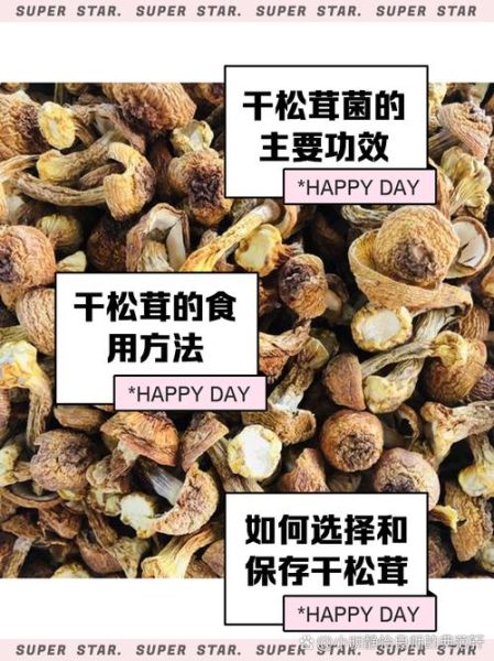干松茸怎么泡发_干松茸的家常做法