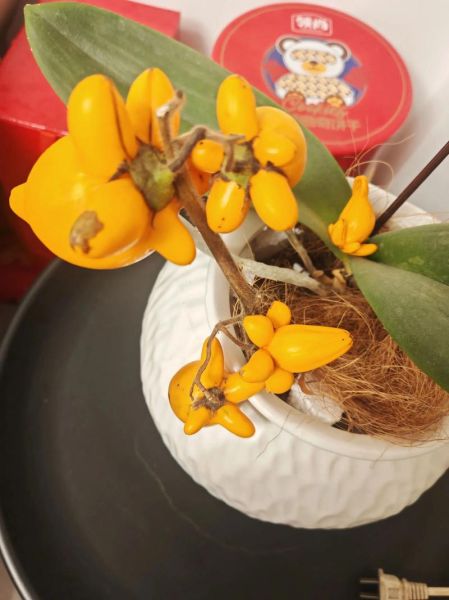 睌是什么意思_睌和晚有什么区别