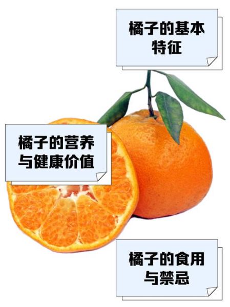 黄澄澄的橘子怎么形容_黄澄澄的橘子造句示范