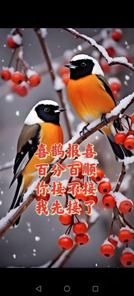 喜鹊报喜的寓意_喜鹊优美词语有哪些