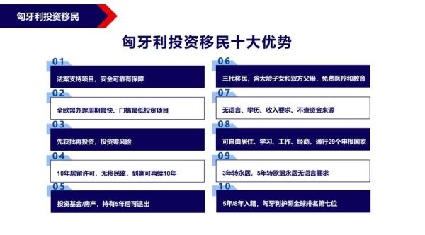 大额投资移民条件_如何办理