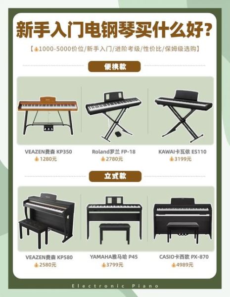 弹琴的琴怎么选_初学者买什么价位合适