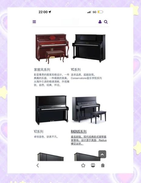 弹琴的琴怎么选_初学者买什么价位合适