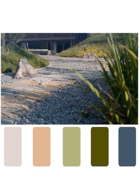 奇异色彩有哪些_如何搭配才高级