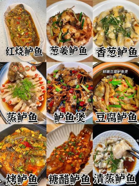 鱼的100种做法怎么做_家常鱼菜有哪些简单易学