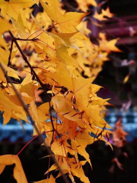 阴天怎么形容_阴天有哪些词语