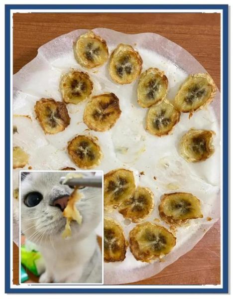 烤香蕉的做法_烤香蕉用烤箱还是空气炸锅