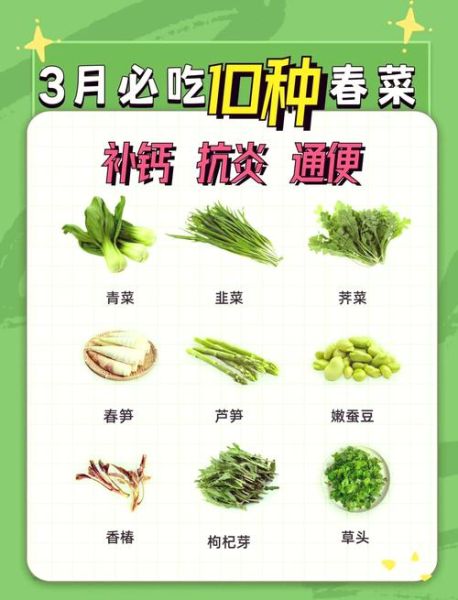 春天吃什么蔬菜最养生_如何激发身体生机
