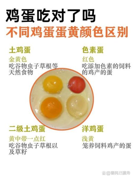 蛋黄颜色怎么形容_蛋黄颜色有哪些词语