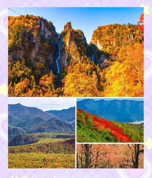 秋天去哪里看枫叶_最佳观赏时间