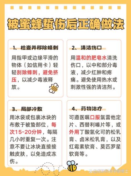 马蜂蜇了怎么办_马蜂窝怎么处理最安全