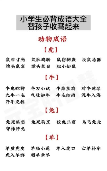 小鸡怎么养才健康_小鸡的形容词有哪些