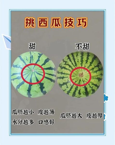 西瓜怎么挑_西瓜怎么切