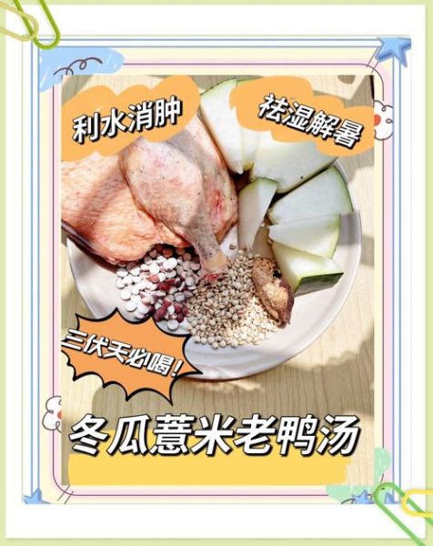 鸭子冬瓜汤怎么做_鸭子冬瓜汤的功效与禁忌