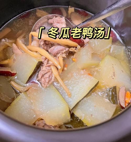 鸭子冬瓜汤怎么做_鸭子冬瓜汤的功效与禁忌