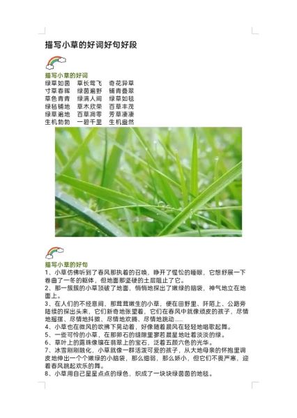 形容草的aabb词语有哪些_如何用在作文里