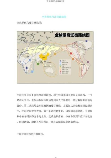 鸟类迁徙路线有哪些_候鸟如何辨别方向